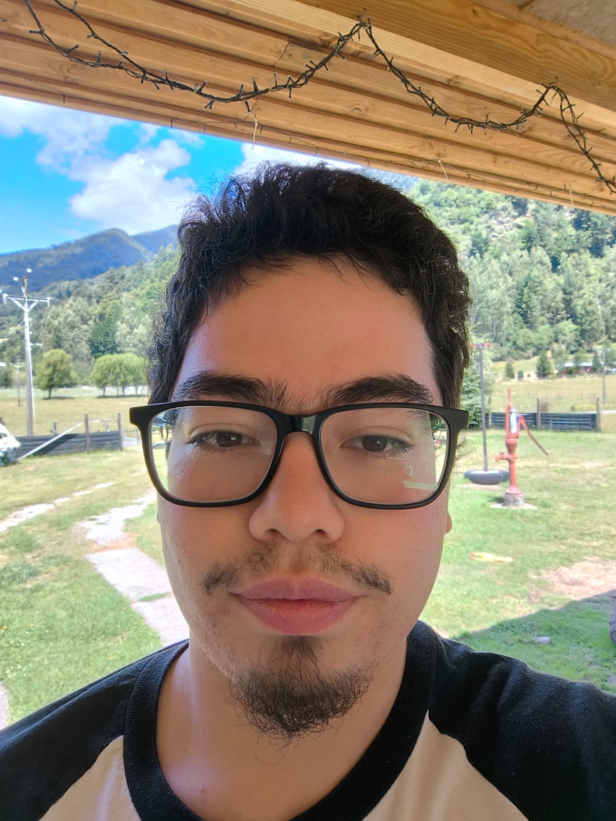 Felipe Andrés  Brana Peña